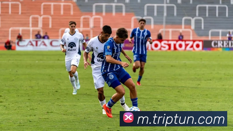 APP界面展示